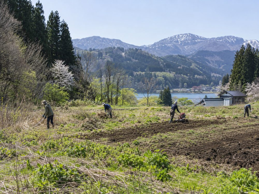 草を刈り、土を起こす畑の作業